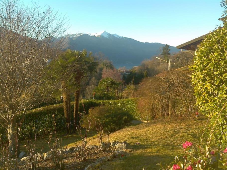 La Tua Villa Sul Lago - Casa Kollegger Luino Eksteriør bilde