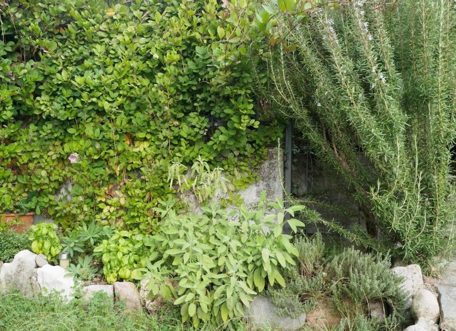 La Tua Villa Sul Lago - Casa Kollegger Luino Eksteriør bilde